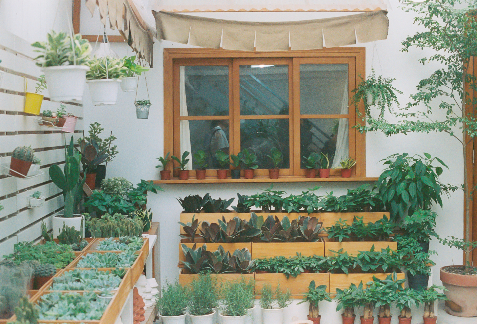 Petit espace vert : quelques astuces pour aménager son jardin devant la maison
